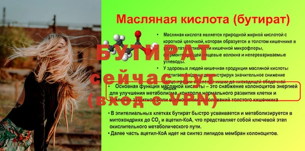 шишки Кодинск