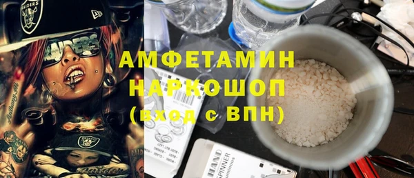 шишки Кодинск