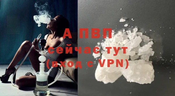шишки Кодинск