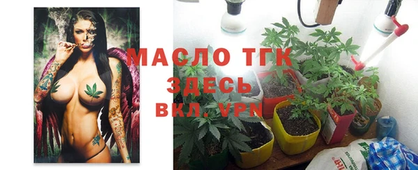 шишки Кодинск
