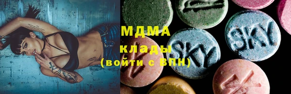 шишки Кодинск