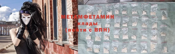 шишки Кодинск