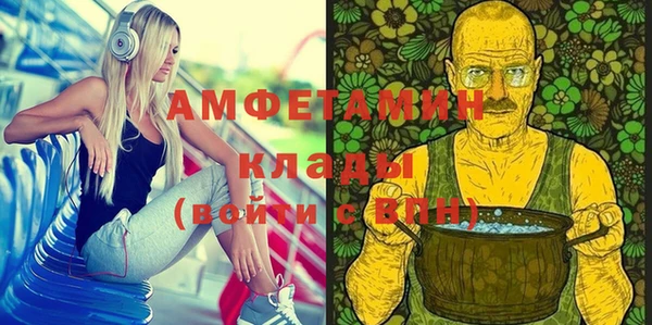 шишки Кодинск