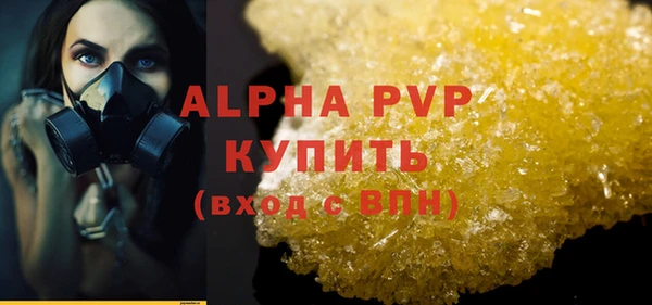 шишки Кодинск