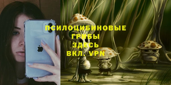 шишки Кодинск
