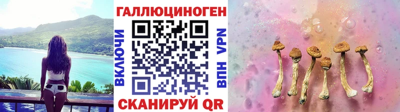 Купить закладки  Большой Камень  Псилоцибиновые грибы MAGIC MUSHROOMS 