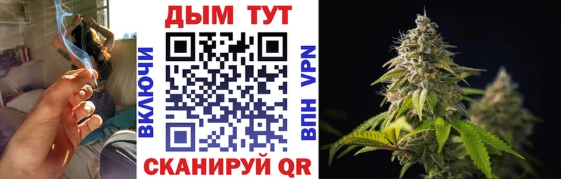 Бошки Шишки ГИДРОПОН  Купить закладки  Большой Камень 